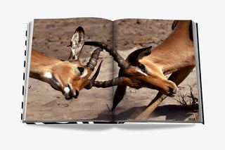 African Adventures: The Greatest Safari on Earth