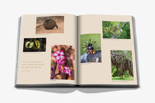Londolozi : The Safari That Changed Everything