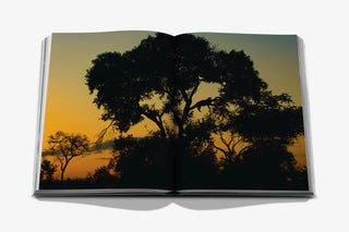 Londolozi : The Safari That Changed Everything