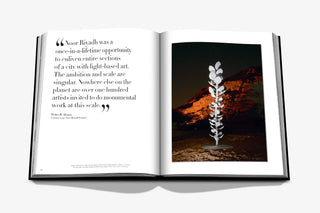 Noor Riyadh: A New Visual Culture