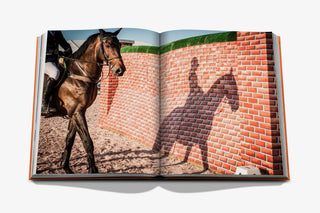Wellington: The World Of Horses