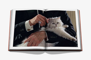 Chic Cats