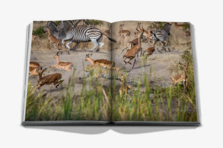 Londolozi : The Safari That Changed Everything